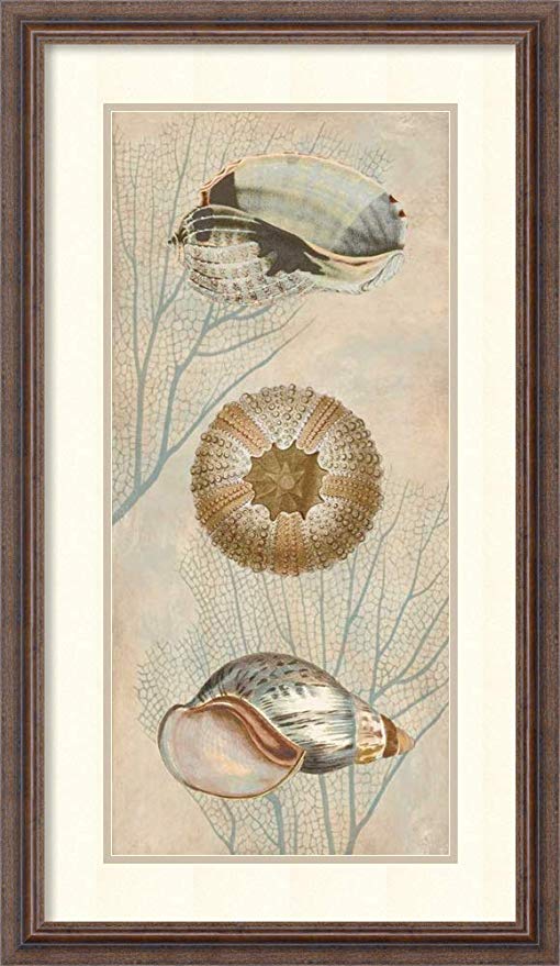Framed Wall Art Print Ocean Companions II by Deborah Devellier 18.88 x 32.50