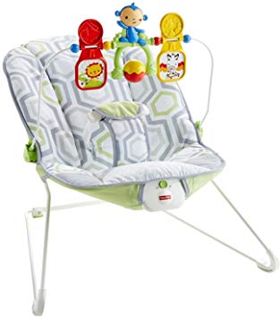 Fisher-Price Baby’s Bouncer Geo Meadow – $18.99