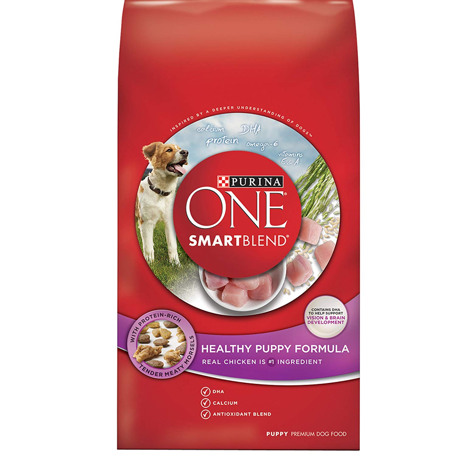 Purina ONE SmartBlend Natural Puppy Dog Food 16.5lbs $12.34 with s/s