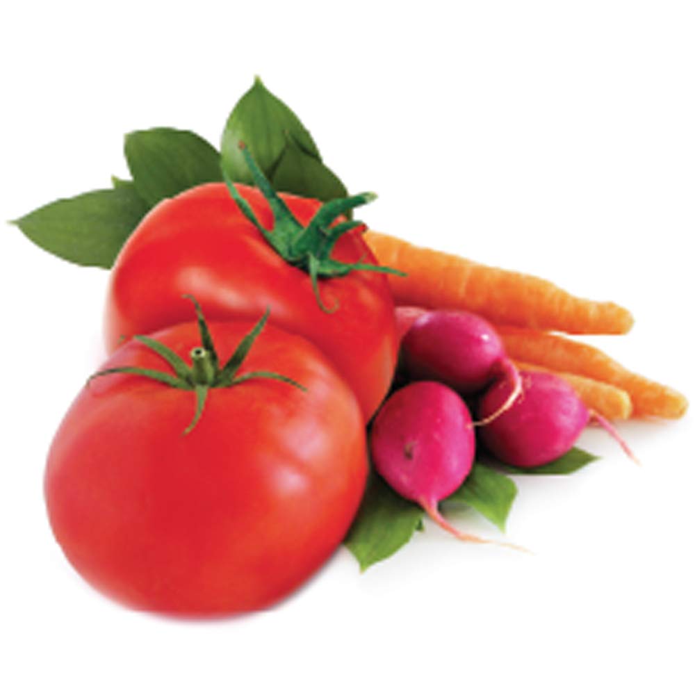 Jobe’s Organics Vegetable & Tomato Fertilizer Spikes, 50 Spikes amazon s&s $3