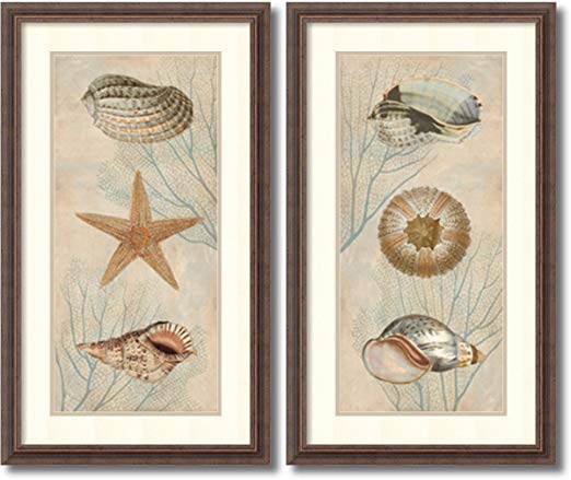 Amanti Art Framed Wall Art Print | Home Wall Decor Art Prints | Ocean Companions – Set of 2 by Deborah Devellier | Rustic Decor