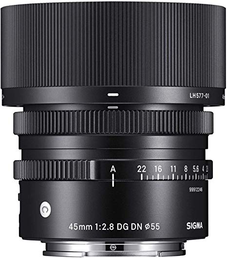 Sigma 14-24mm F2.8 DG DN Art Lens for Leica L