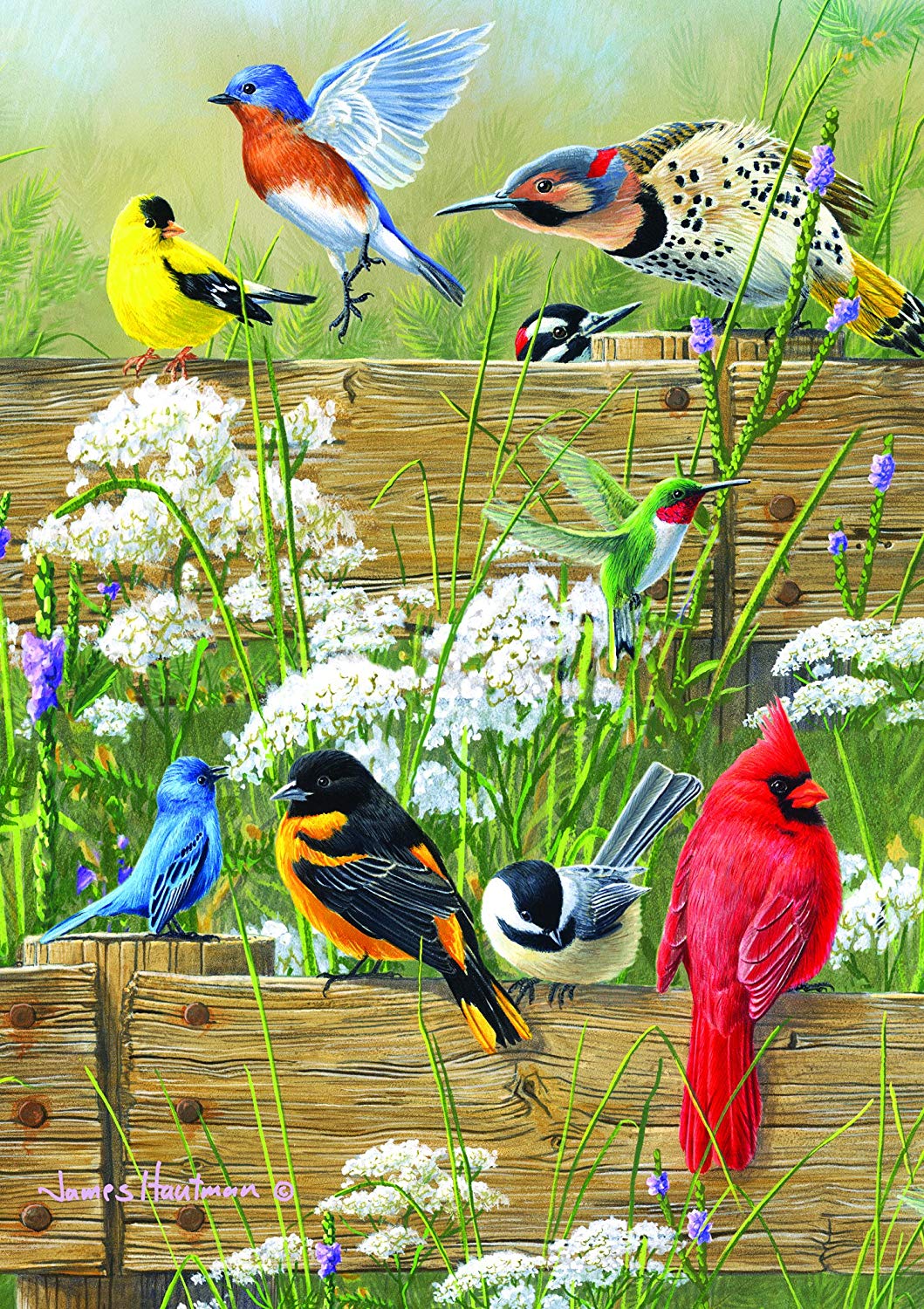 Buffalo Games 2496 – Hautman Brothers – Songbird Menagerie – 300 Large Piece Jigsaw Puzzle – $3.43
