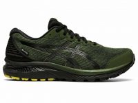 Asics Men’s GEL-Cumulus 22 G-TX Gore-Tex Running Shoes $56.35 + free delivery