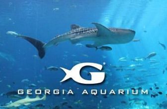 Georgia Aquarium tickets for $31.95. GA residents get a free ticket on birthday (Atlanta, GA)