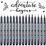Tebik 14 Pack Hand writing Calligraphy Pens for $8.79  Free delivering / Prime or twenty-five dollar