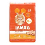 Select Amazon Accounts: 16-lbs IAMS Proactive Health Adult Dry Cat Food (Chicken & Salmon Recipes) $12.55 w/ Subscribe & Save