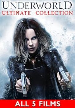 Digital Movie Download & Streaming