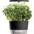 AeroGarden Harvest 360 – Indoor Garden with LED Grow Light, Round, Compact Design, Black $58.79