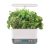 Aerogarden Harvest Elite (Various Colors) EXPIRED