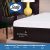 Costco Members: Cocoon by Sealy 12″ Hybrid Memory Foam Mattress