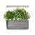 AeroGarden Harvest Elite Slim Indoor Garden with LED Grow Light $81.27 + free transport