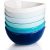 Sweese set of 6 porcelain bowls $12.65 after coupon