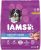 Select Amazon Accounts: 30-Lbs IAMS Senior Large Breed Dry Dog Food (Chicken)