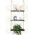 POTEY Wall Hanging Plant Shelf 3 Tier Wood Brown Floating Shelves Indoor Decor for Window/Kitchen/Lavatory/Bed room $13.19