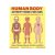 Human Body Activity Book for Kids’ $5.39 + Free Shipping w/ Prime or $25+ or FS w/ Walmart+ or $35+