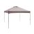 Coleman 10′ x 10′ Instant Canopy w/ Sunwall (Gray)