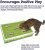 Petstages Grass Patch Hunting Box Cat Toy w/ Balls