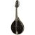 Rogue RM-100 A-Style Mandolin Instrument (Black or Sunburst)