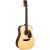 SIGMA SIG10DNATS Solid Top Dreadnought Acoustic Guitar – $99.99 and Free Shipping