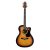 Boroughs Dreadnought Guitars: Acoustic / Electric $89, Acoustic (Numerous)