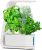 AeroGarden Sprout 3-Pod Hydroponic Indoor Garden w/ Herb Kit