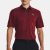 Under Armour Men’s UA Tech Polo Shirt (Chestnut Red)