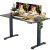 55″ x 28″ ErGear Height Adjustable Electric Standing Computer Desk