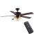 Hampton Bay Campbell 52 in. Indoor LED Mediterranean Bronze Ceiling Fan with Light Kit, Downrod, Reversible Blades and Remote, $63.16, free delivery, Home Depot