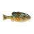 Berkley PowerBait® Gilly smooth fishing lure+ Fusion hooks FS $4.90