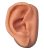 3B Scientific Silicone Right Acupuncture Ear