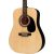 Rogue RA-090 Dreadnought Acoustic Guitar (Various Colors) $70 + Free Shipping