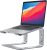 Loryergo Ergonomic Laptop Riser Stand/Mount (Silver)