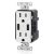 Leviton Duplex 15-Amp Receptacle w/ 2x USB-A Ports
