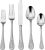 20-Piece Cuisinart Elite Fampoux Stainless Steel Flatware Set EXPIRED