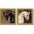 Framed Art Print, Horse- Set of 2′ by Martin Rose: Outer Size 31 x 31 Each