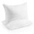 Beckham Hotel Collection Gel Pillow (2-Pack) – Luxury Plush Gel Pillow (Queen) for $27.19 AC + FSSS